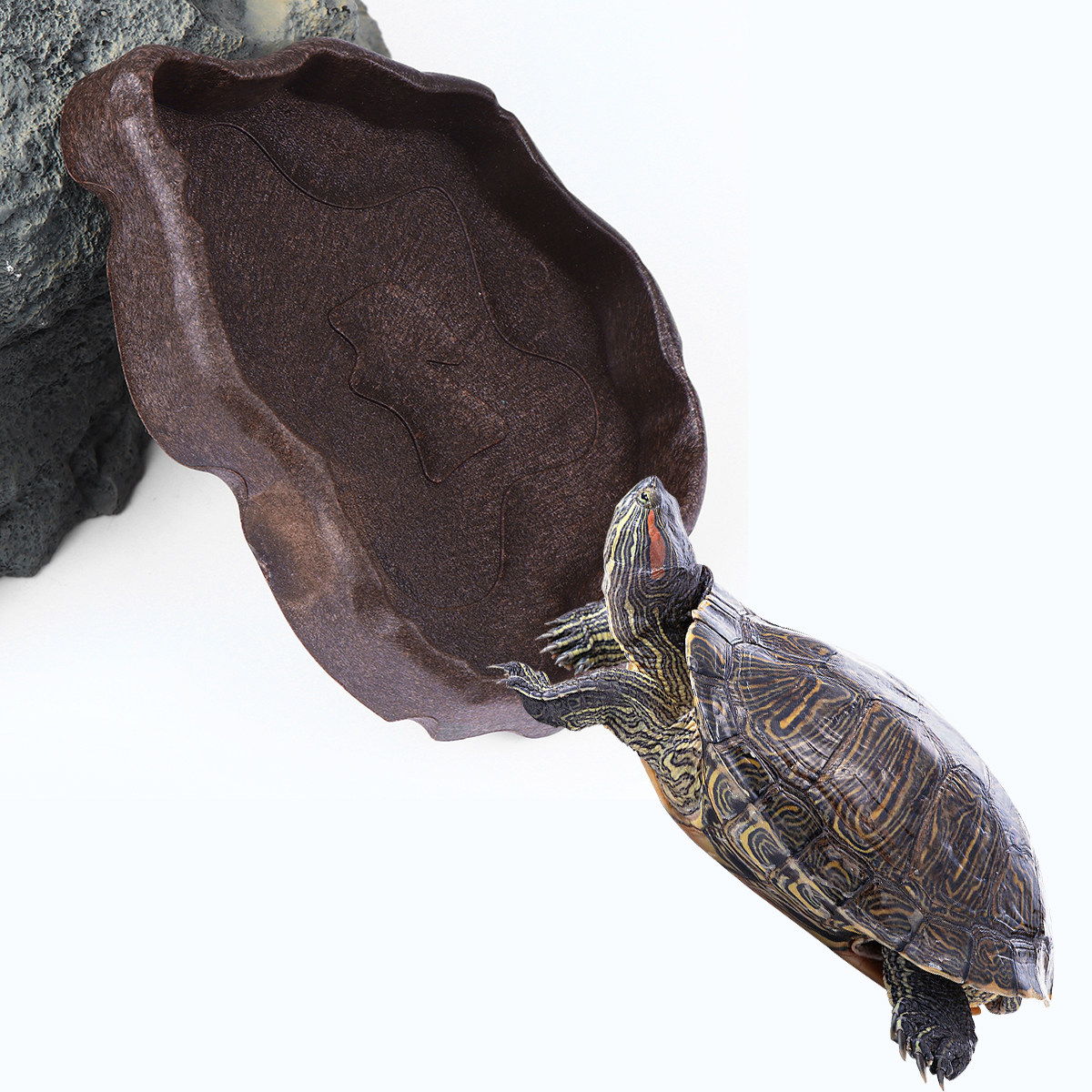 Water Dish Reptile - Reptilien-Futterschale aus Kunstharz, Kaffeegröße S, Rutschfeste