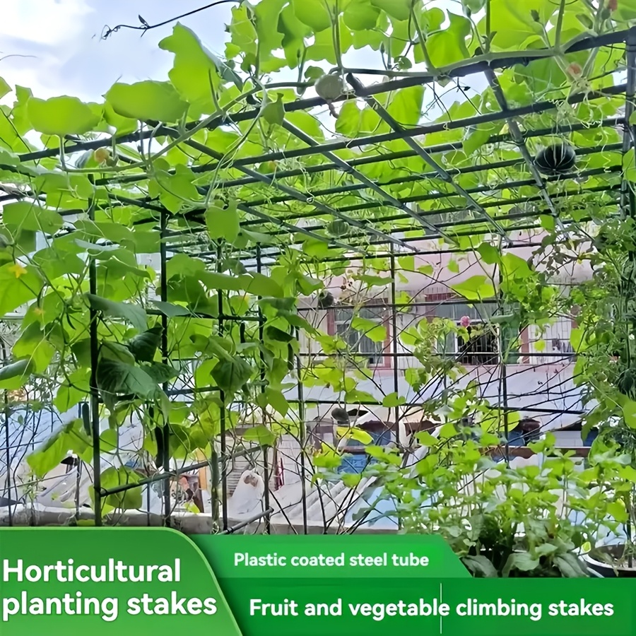 Vine Climbing Plastic - Pop Rostfreier Gemüse-Kletterrahmen-Bausatz Pflanzen-Stützgitter für Gurken-,