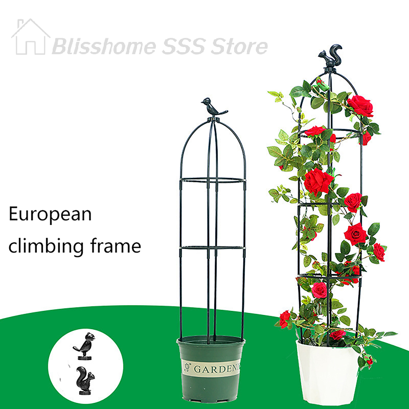 Vine Climbing Plastic - 【S】1 Set Rankhilfen für Kletterpflanzen: Gartenstützgitter