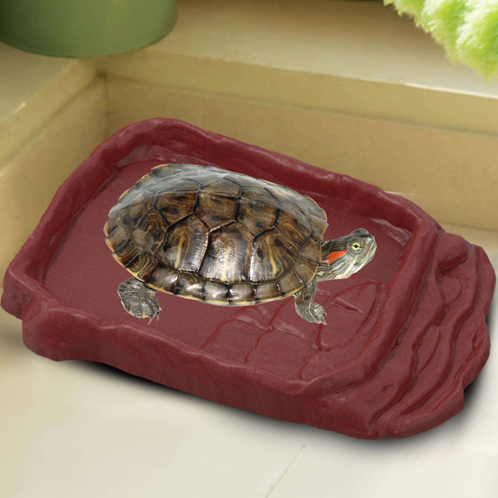 Water Dish Reptile - Schildkröten-Badewanne Wasserschale Rutschfeste Leitern Reptilien-Schüssel Reptilien-Badepool