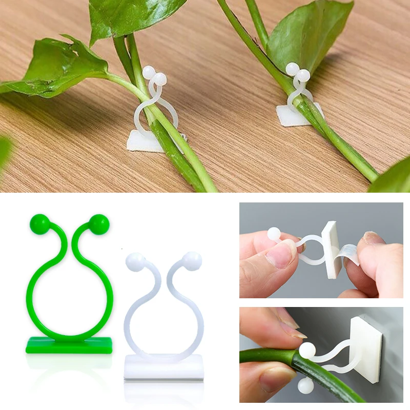 Vine Climbing Plastic - Pflanze Klettern Wand Selbstklebende Feste Schnalle