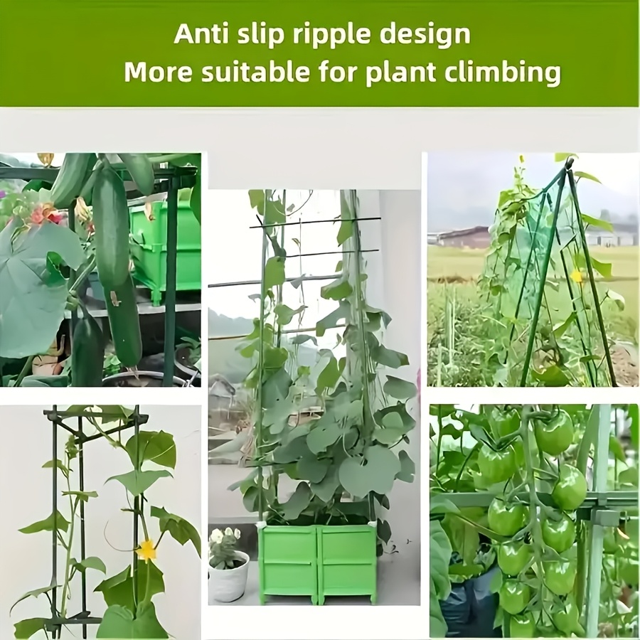 Pop Rostfreier Gemüse-Kletterr – Vine Climbing Plastic Bewertung und Preis