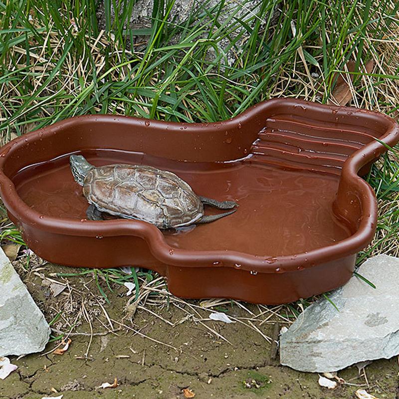 Schildkröten-Futternapf, Repti – Water Dish Reptile Bewertung und Preis