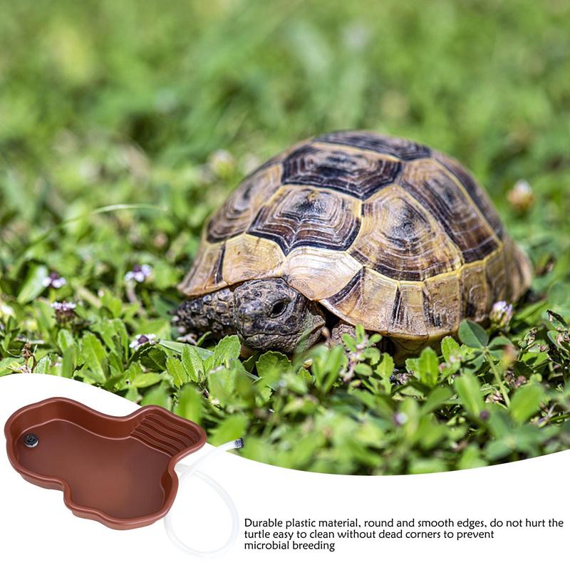 Schildkröten-Futternapf, Repti – Water Dish Reptile Bewertung und Preis