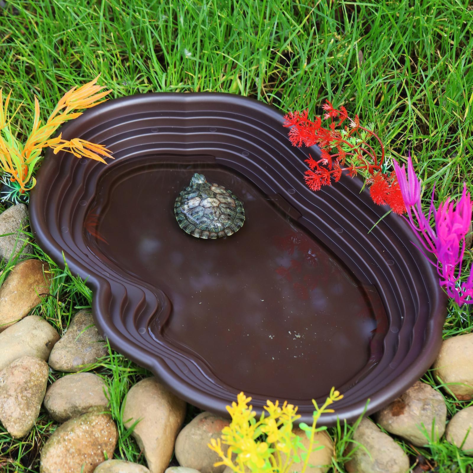 Reptilien-Badeschale, Schildkr – Water Dish Reptile Bewertung und Preis