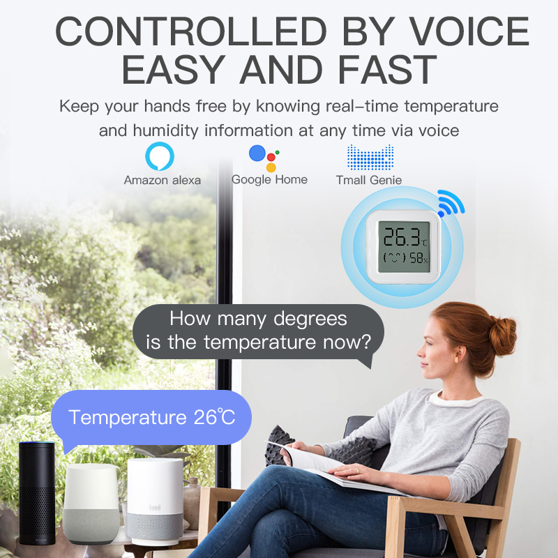 Bluetooth Temperatur Feuchtigk – Digital Hygrometer Probe Bewertung und Preis