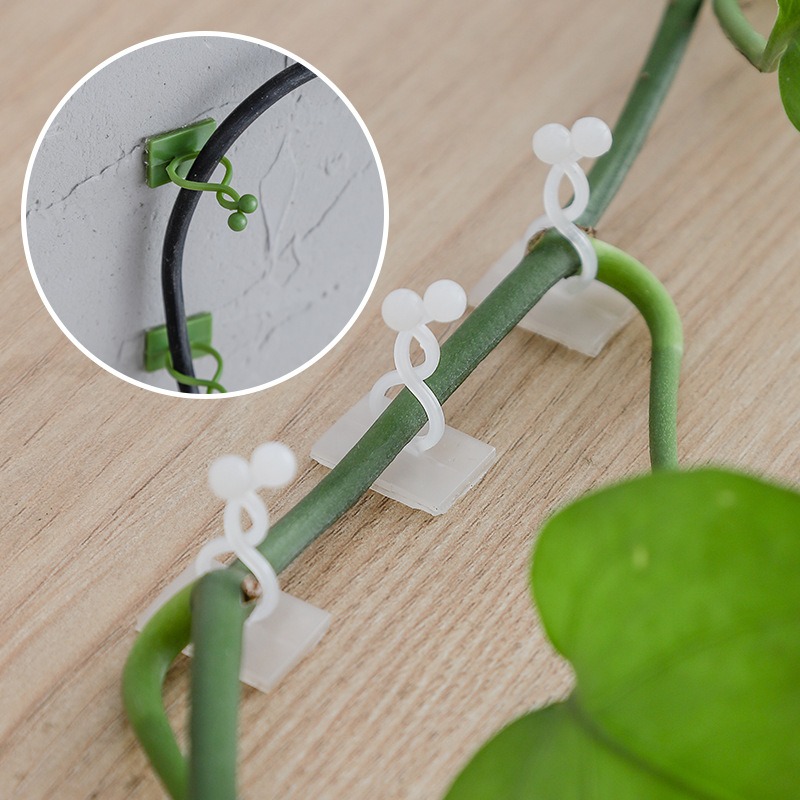 10 Stück Pflanzenwand-Befestig – Vine Climbing Plastic Bewertung und Preis