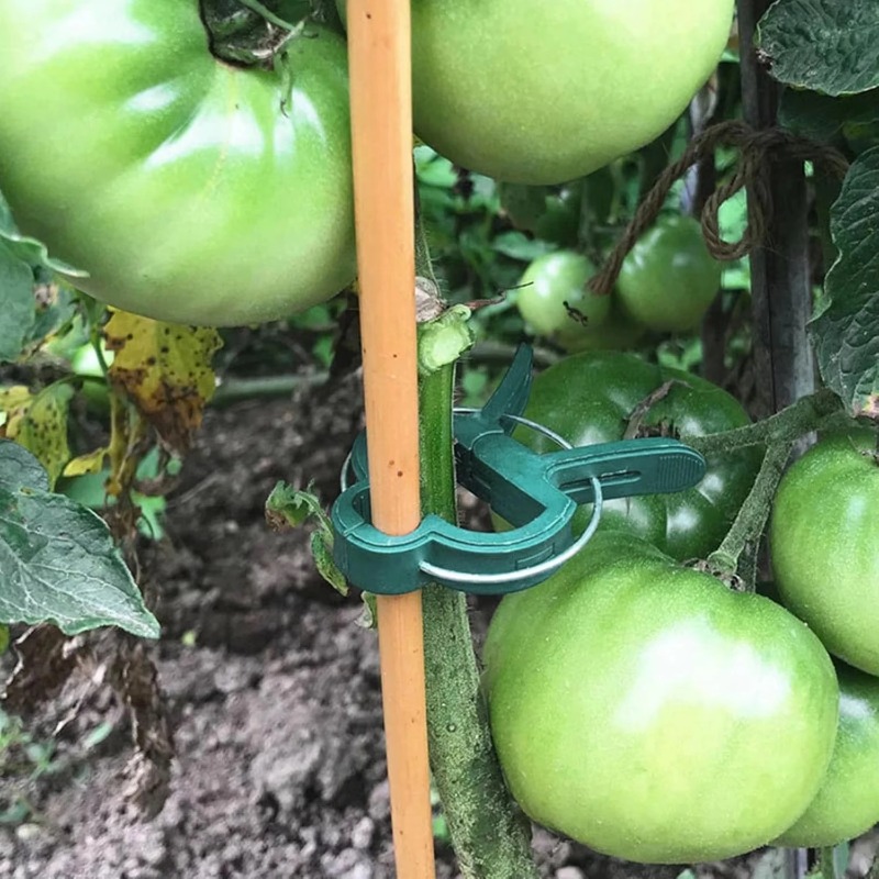 Pflanzenbefestigungsclips Wied – Vine Climbing Plastic Bewertung und Preis