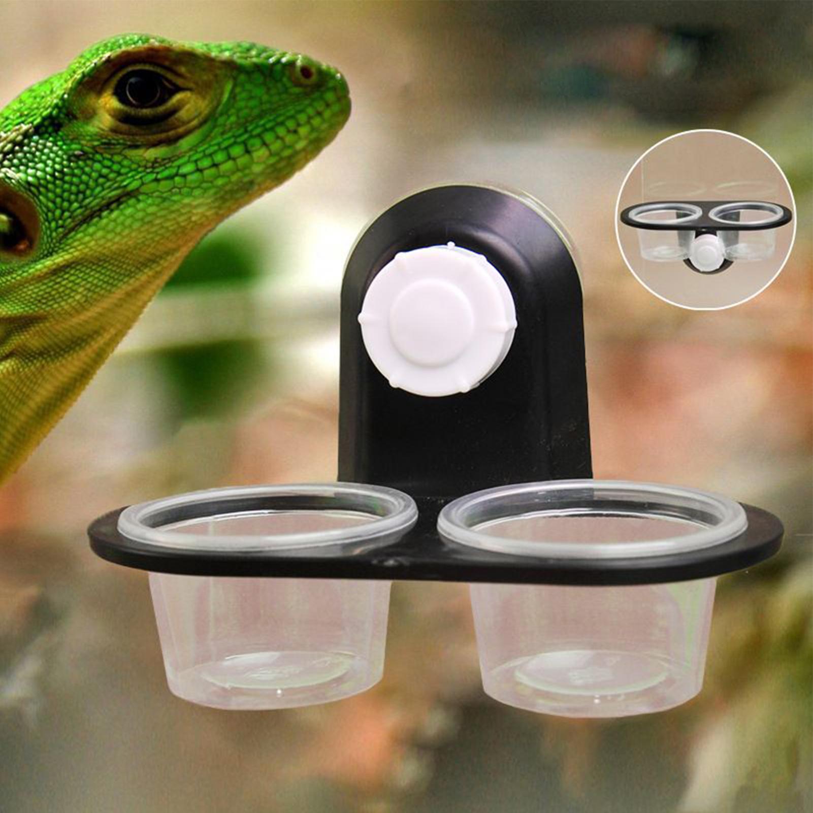 Gecko Futter- und Wasserschale – Water Dish Reptile Bewertung und Preis