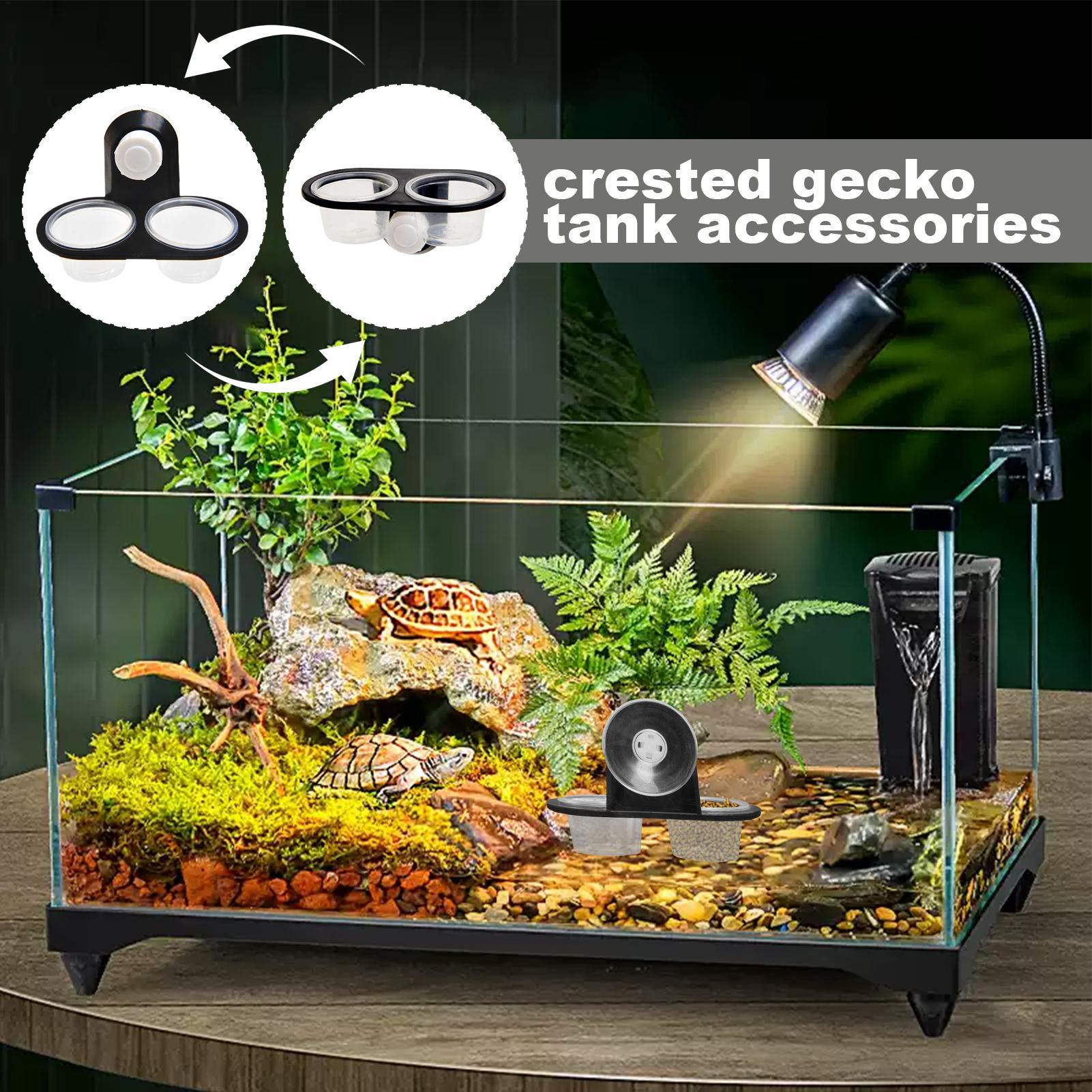 Gecko Futter- und Wasserschale – Water Dish Reptile Bewertung und Preis