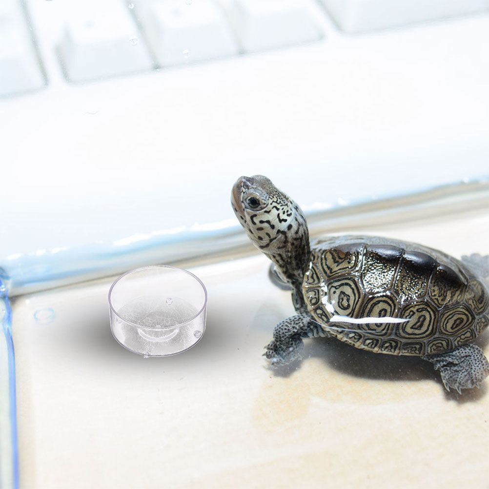 10 Stück Acryl-Reptilien-Futte – Water Dish Reptile Bewertung und Preis