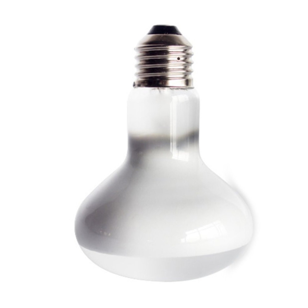 Schildkröten-Temperaturregler  – Basking Bulb Halogen Bewertung und Preis