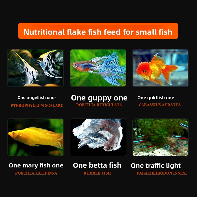 DaJiaWa Spirulina-Flockenfisch – Tetra Food Betta Flakes Bewertung und Preis