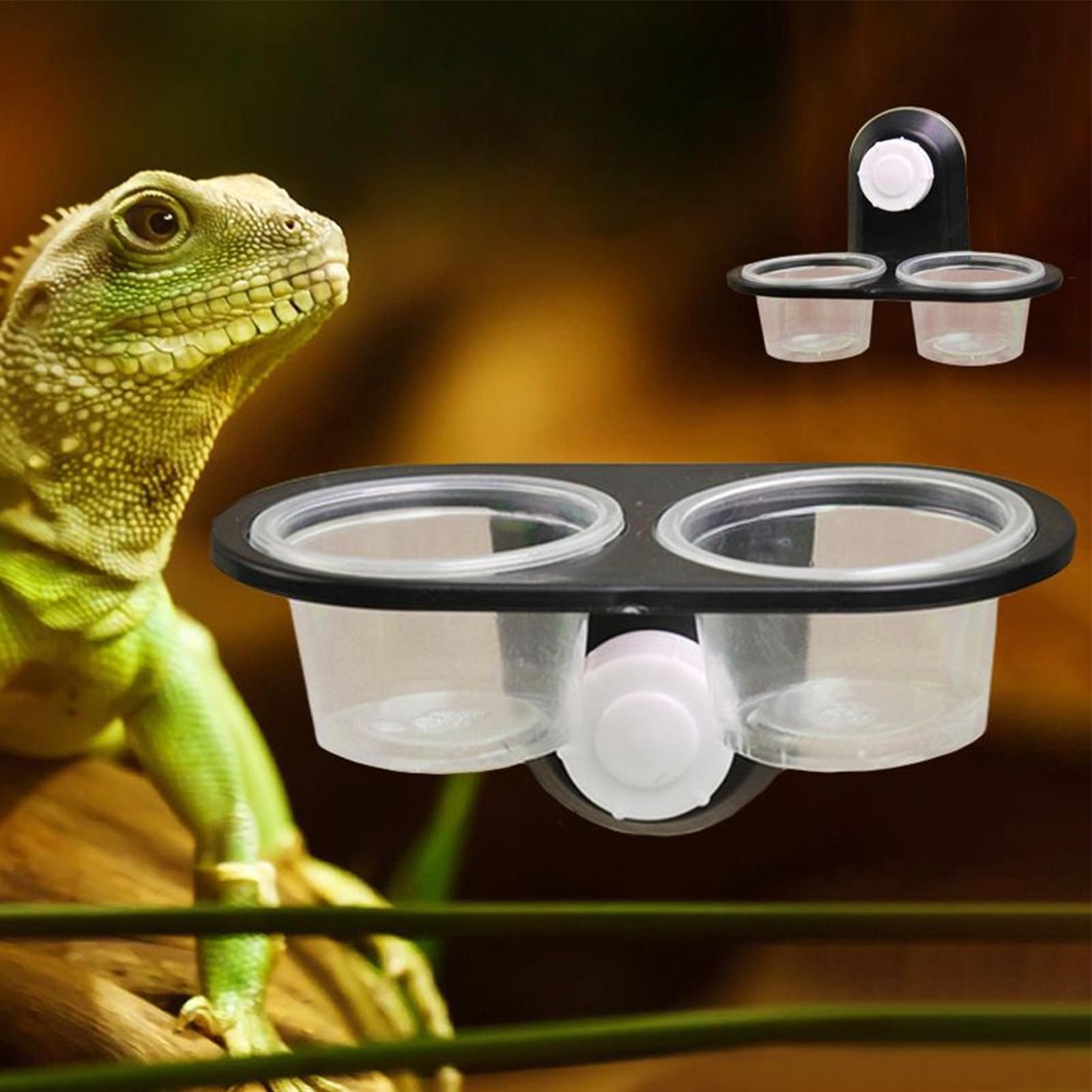 Gecko-Futterschale und Wassers – Water Dish Reptile Bewertung und Preis