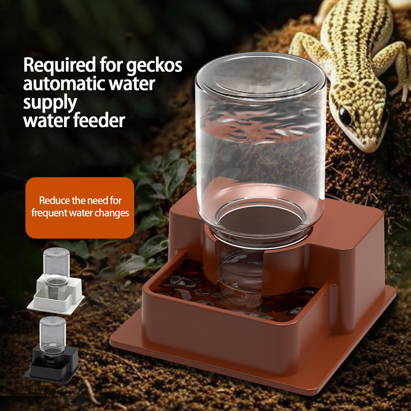 1 Stück automatischer Reptilie – Water Dish Reptile Bewertung und Preis