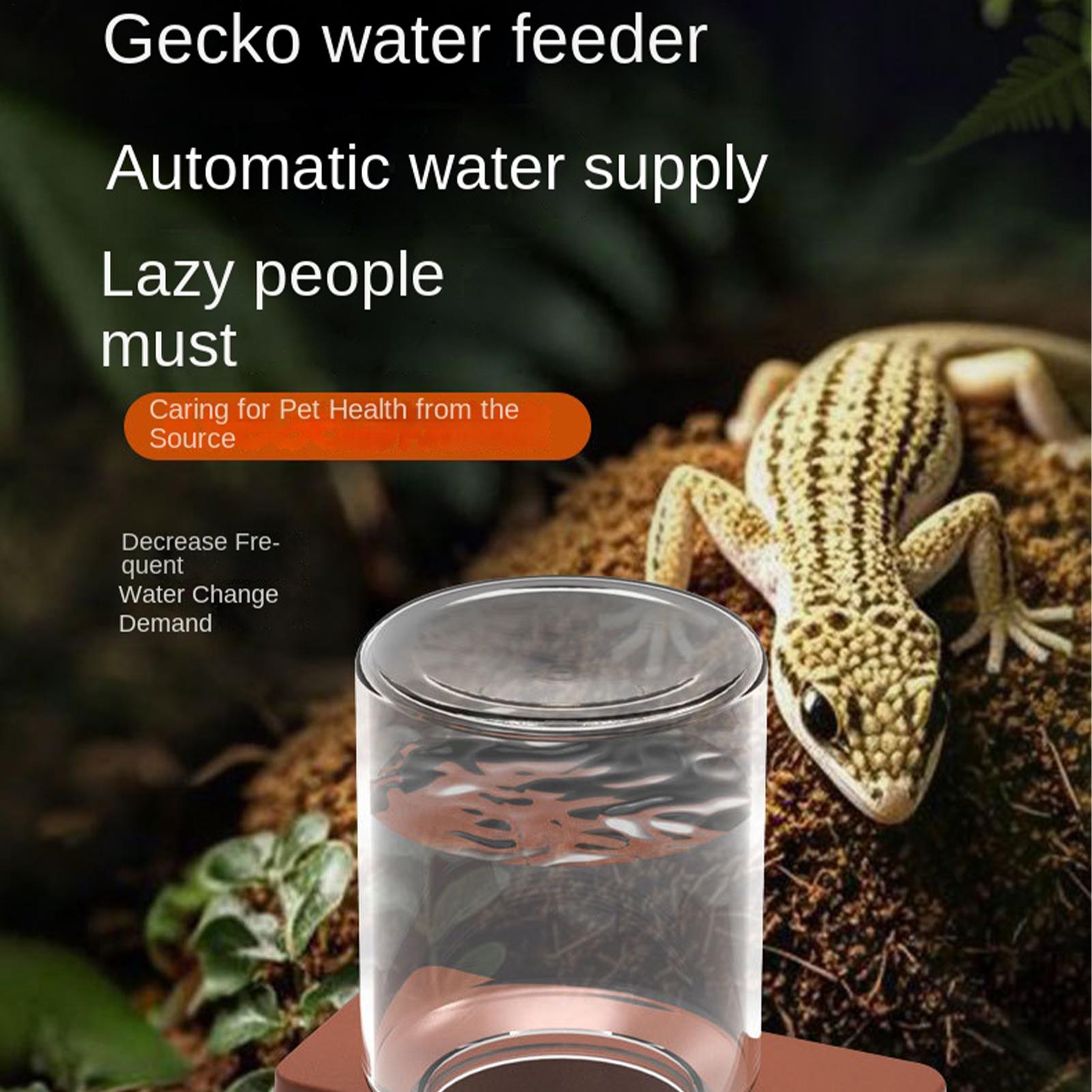1 Stück automatischer Reptilie – Water Dish Reptile Bewertung und Preis